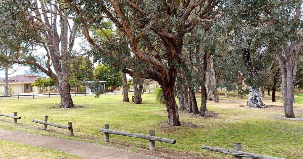 A park in Marangaroo-Residential area in Perth