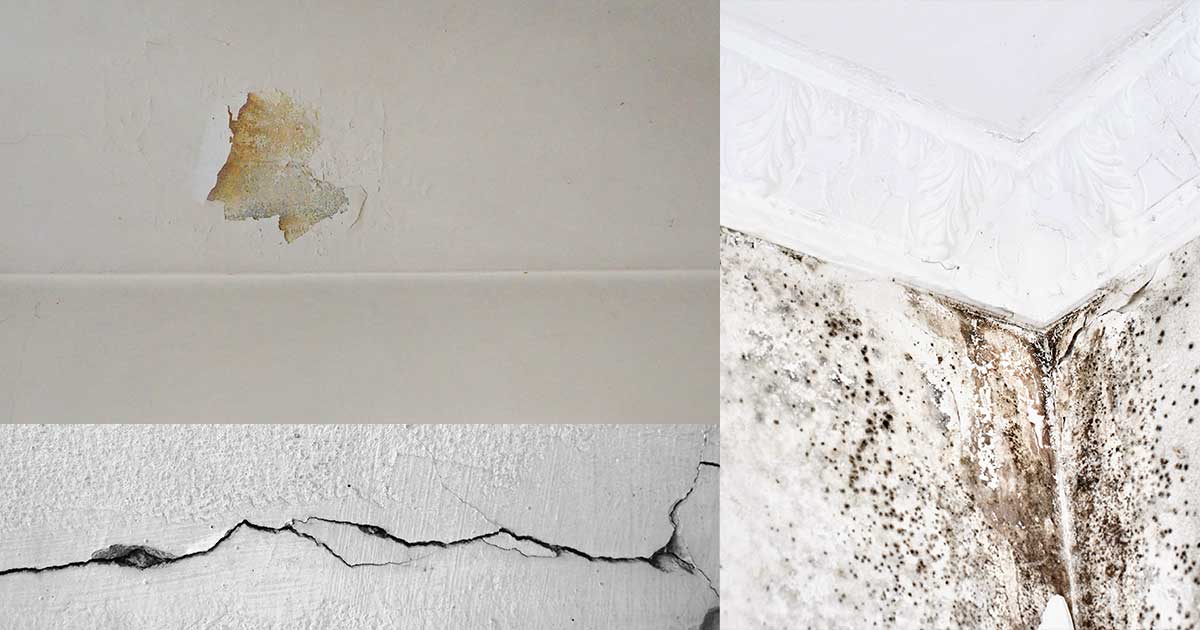 Dedicated-to-your-satisfaction-we-meticulously-assess-every-detail-Properties-with-issues-like-cracked-ceilings-and-mold-won't-pass-our-thorough-evaluation