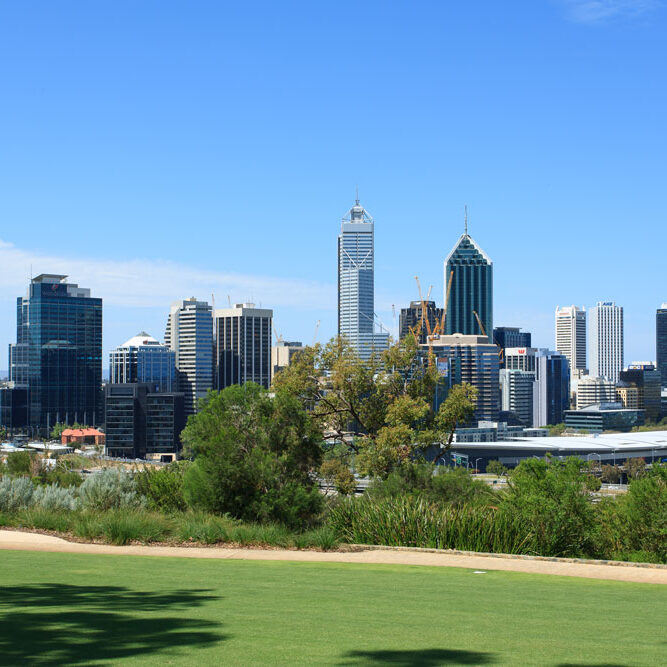 City of Perth from Kings Park